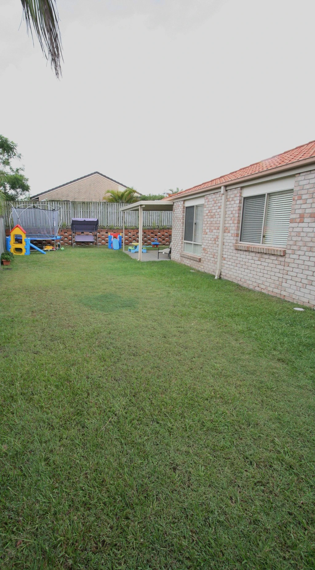 grass