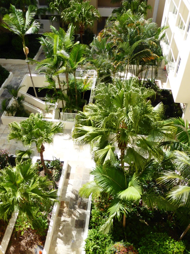 garden