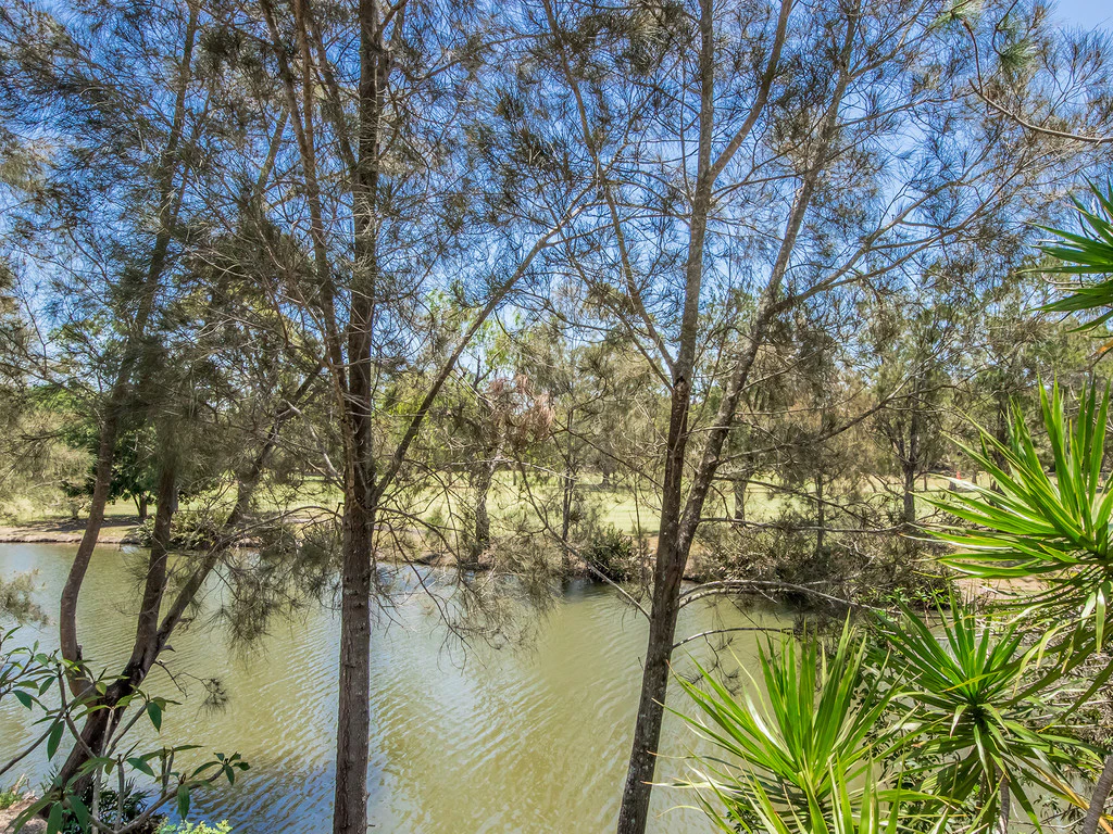 vegetation