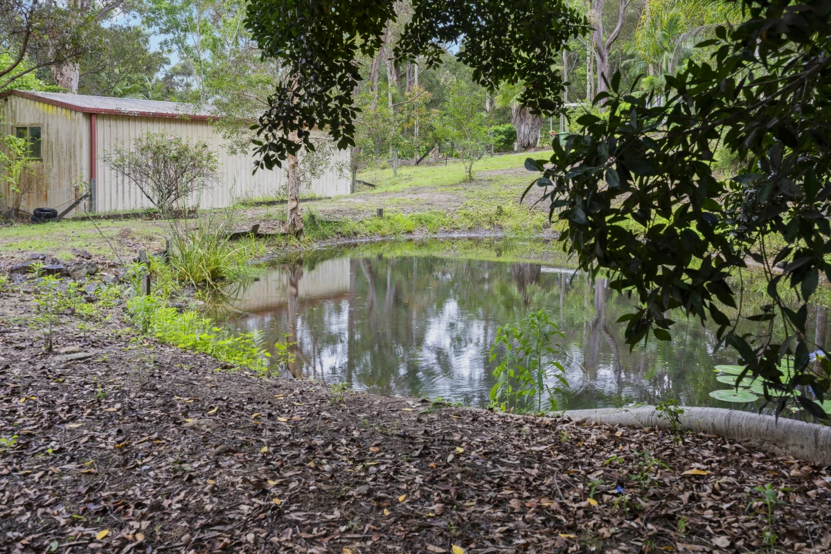 nature