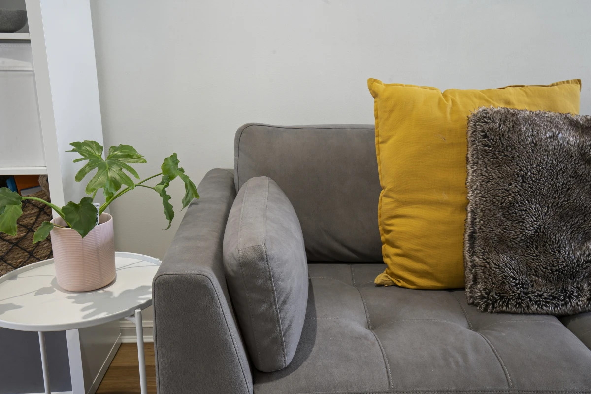 cushion