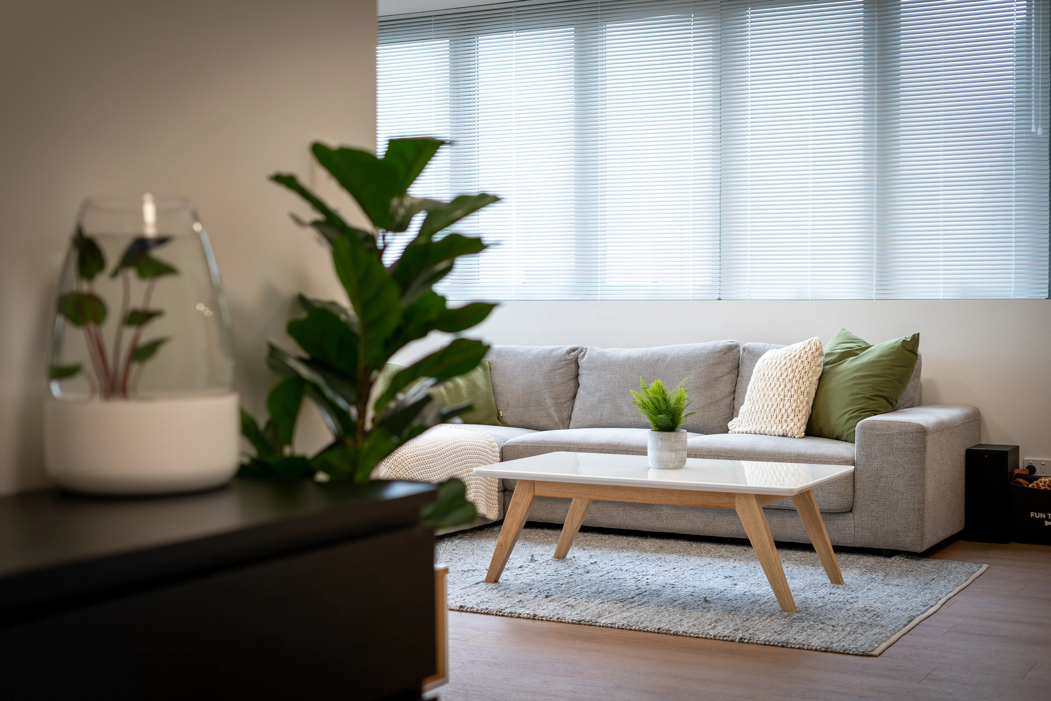 furniture