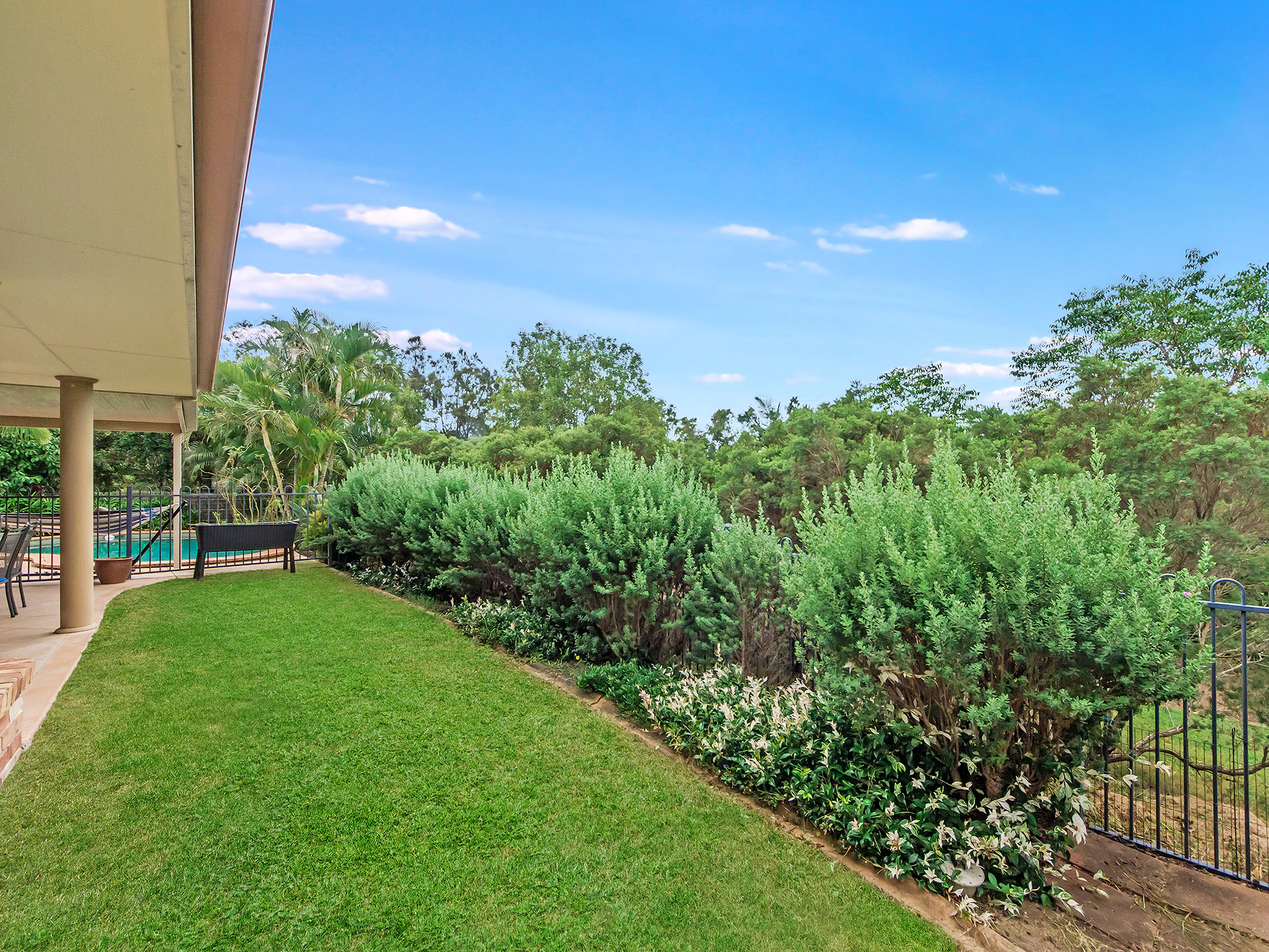 vegetation