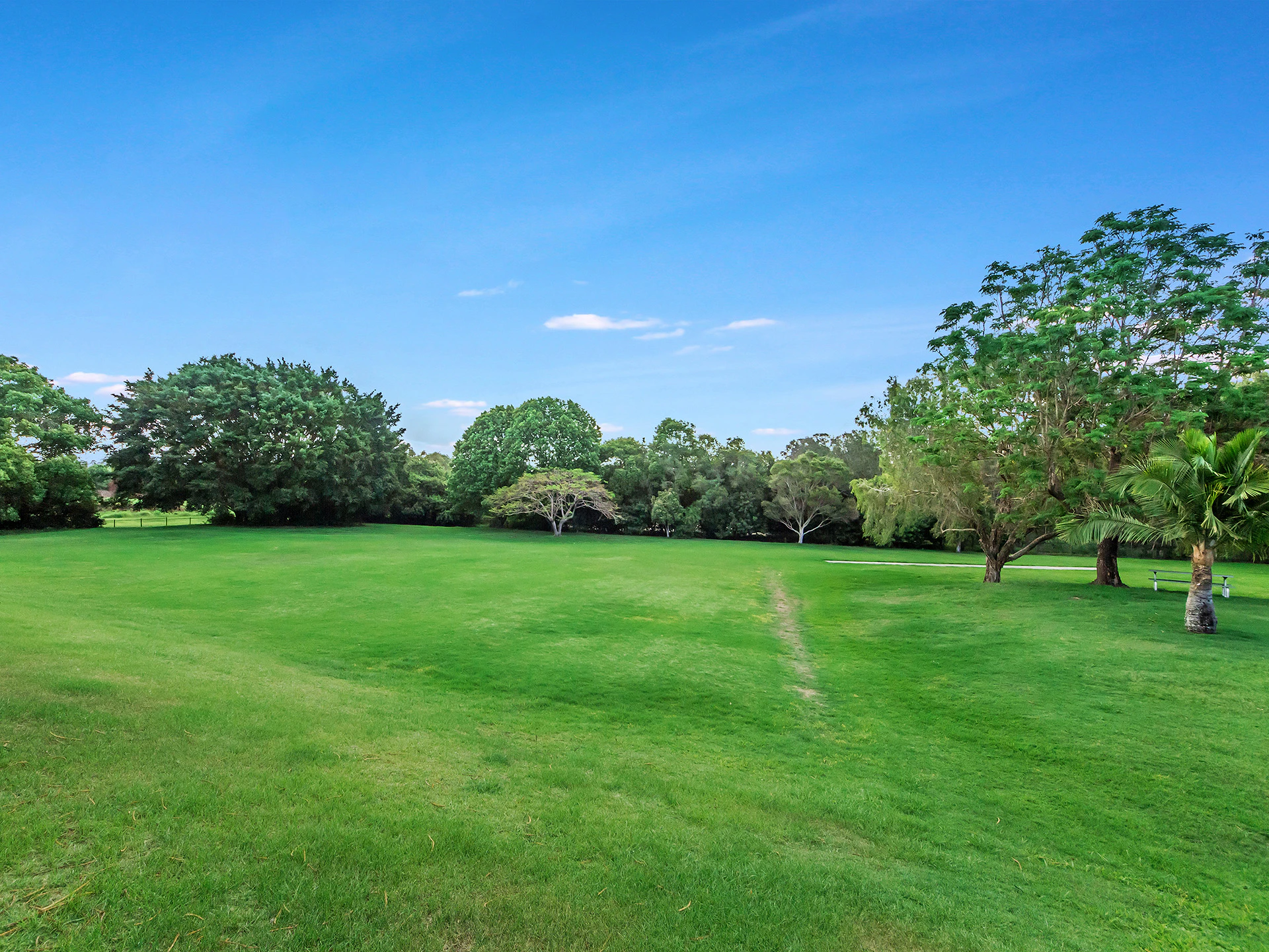 grass
