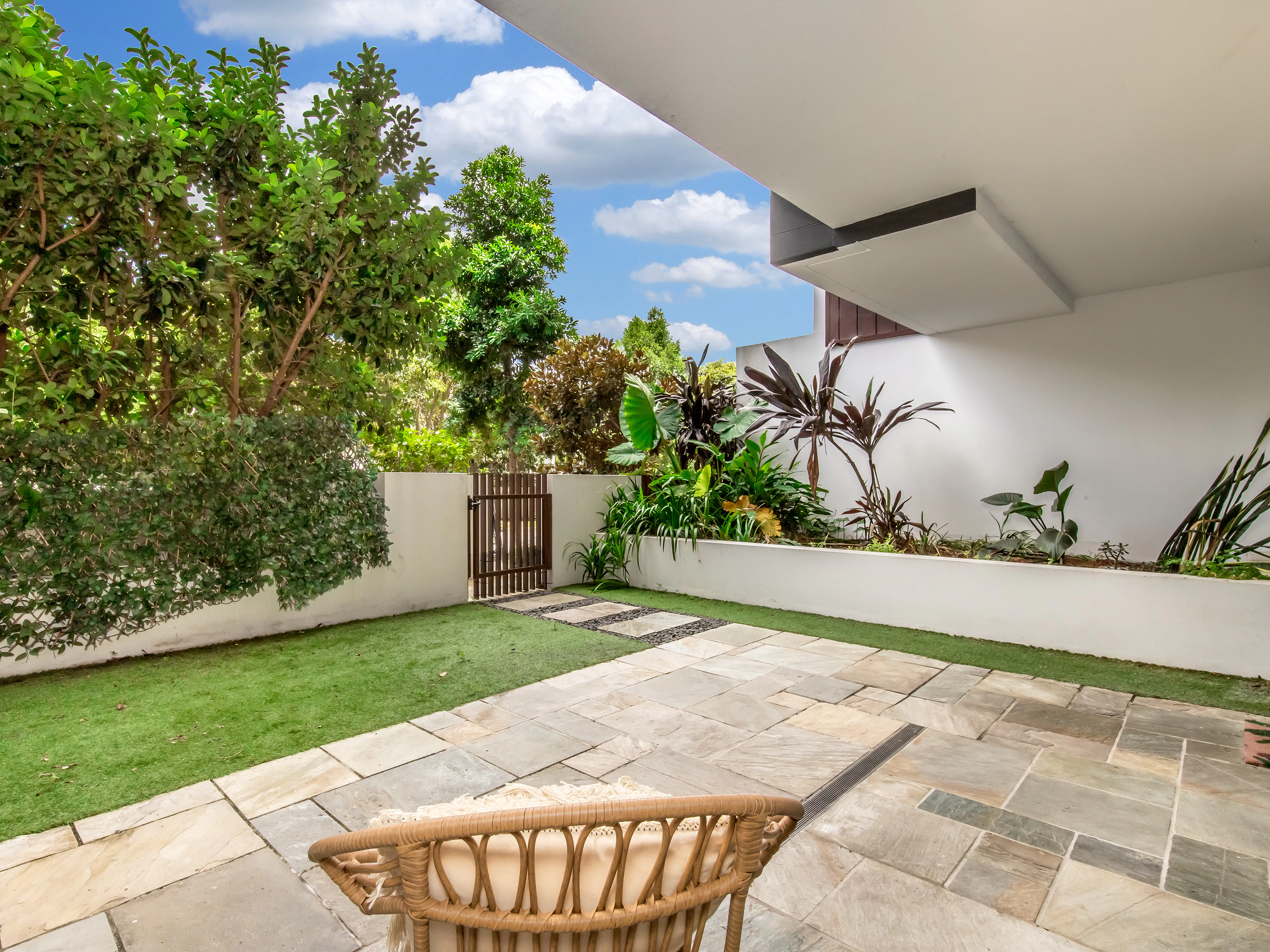backyard