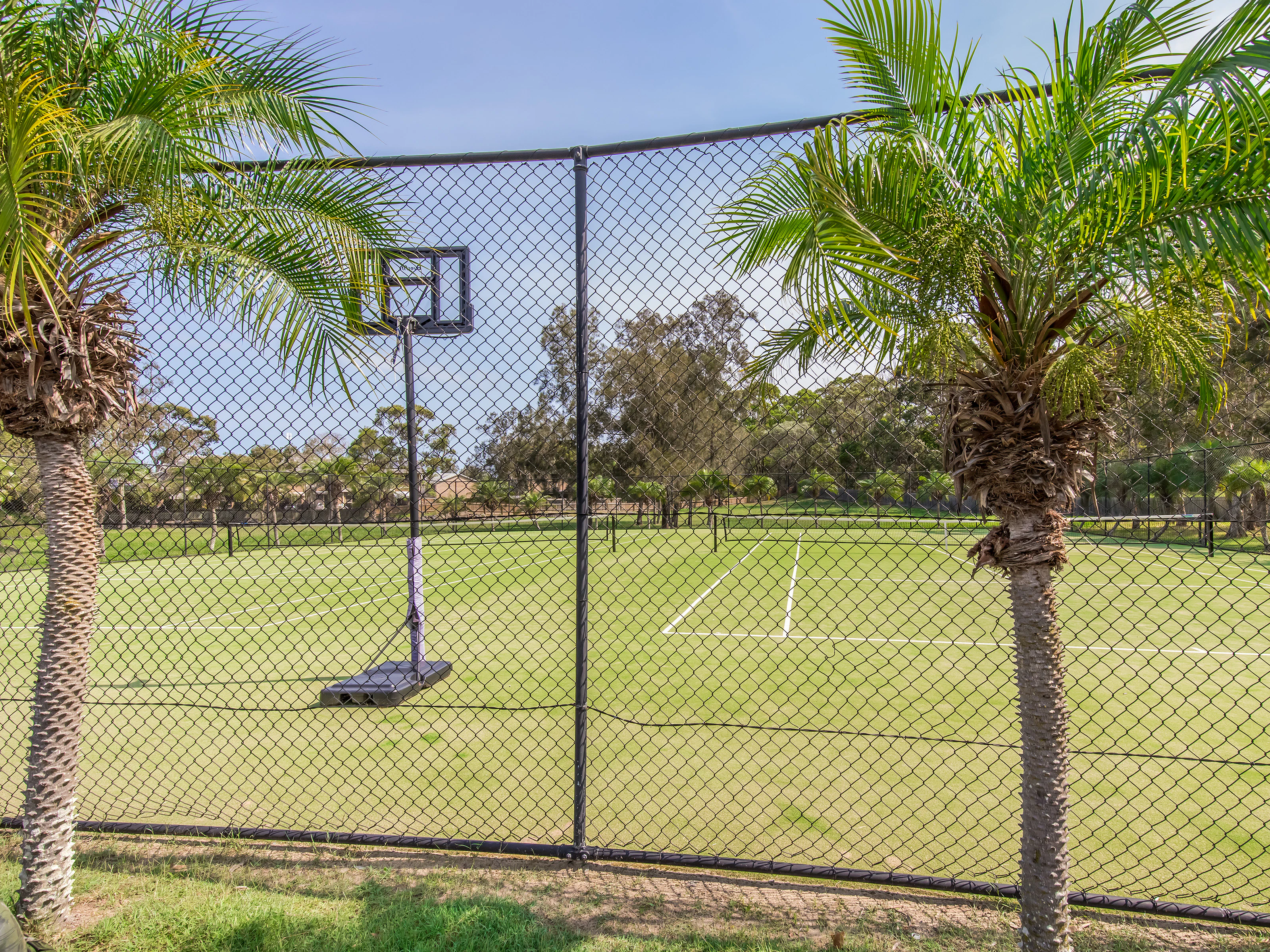 basketball