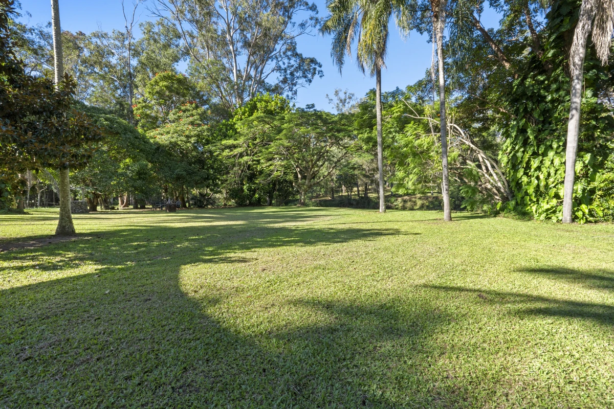 grass