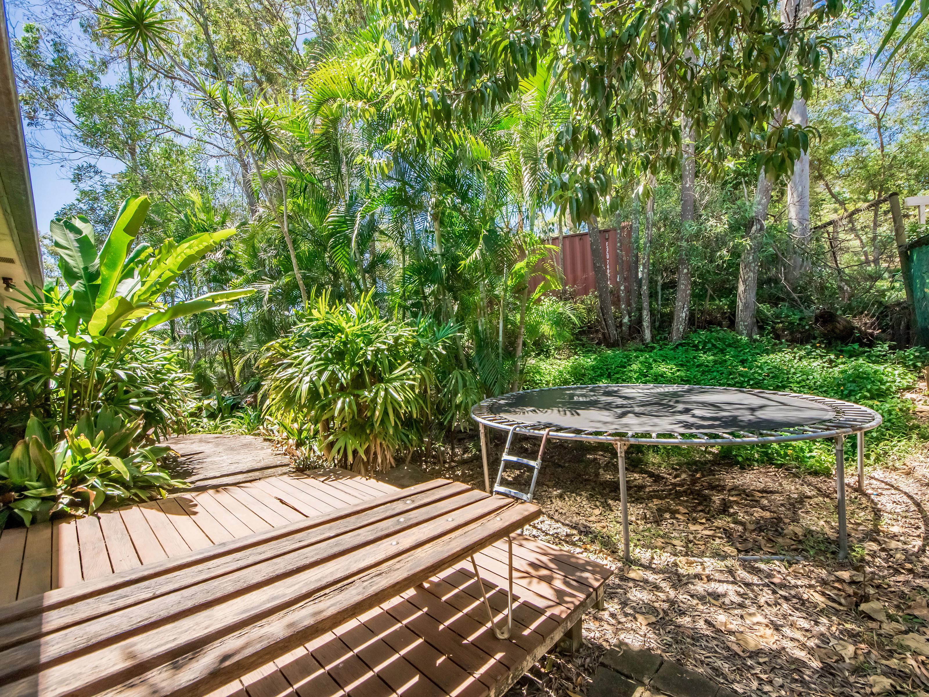 backyard