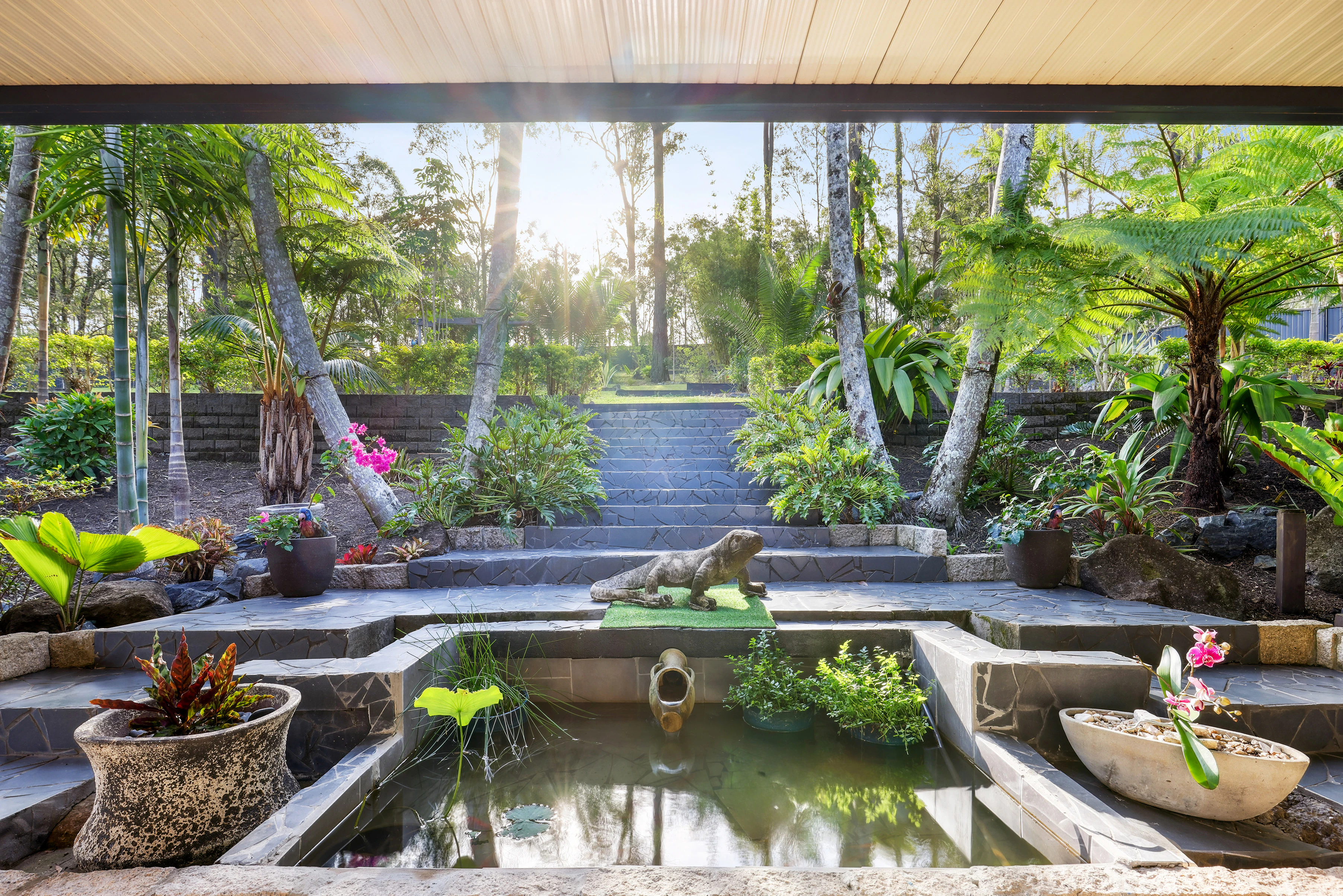 backyard