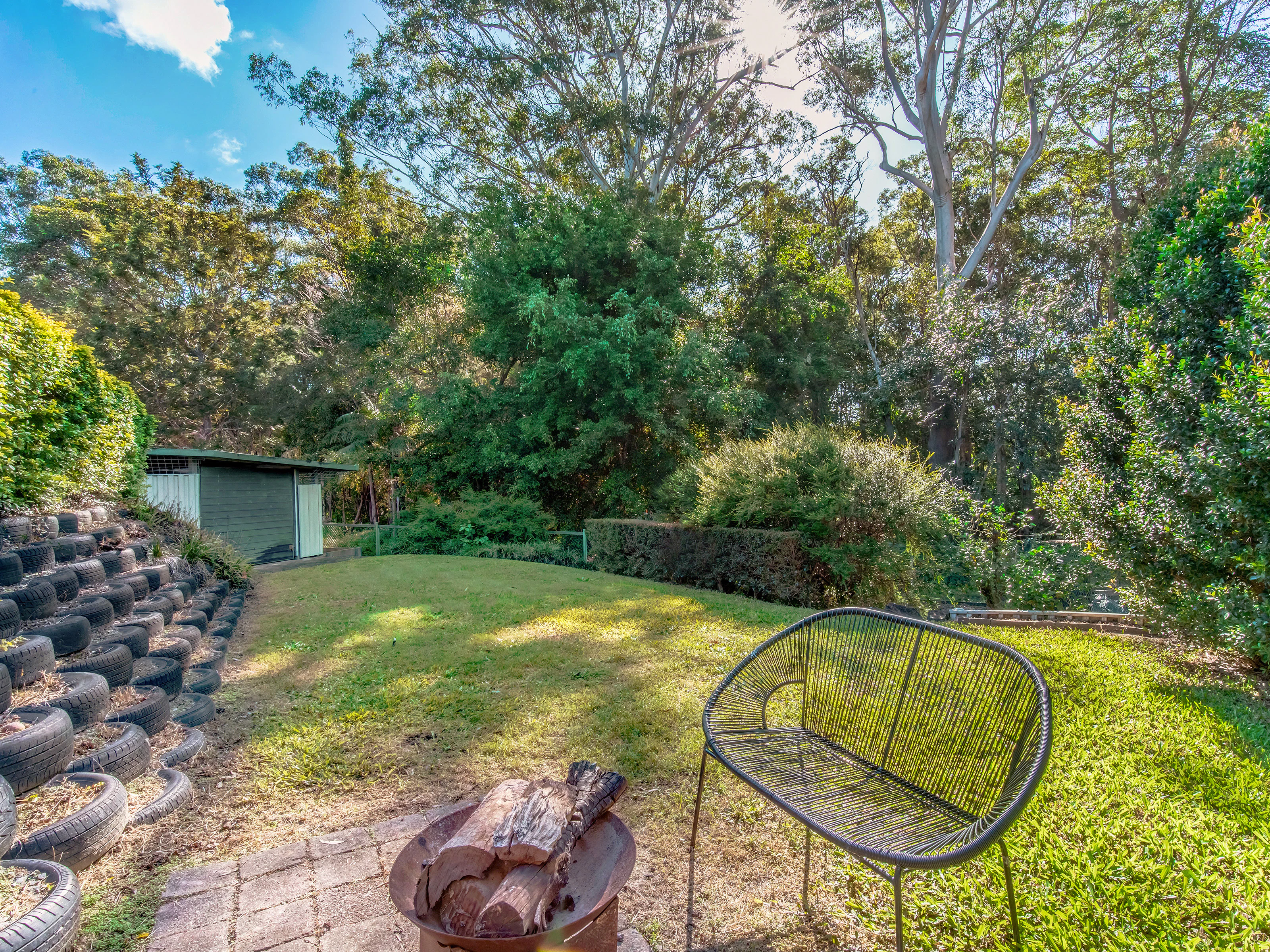 backyard
