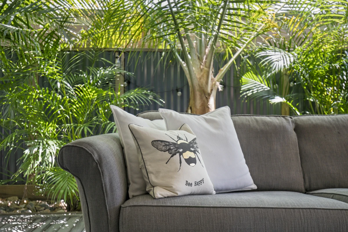 cushion