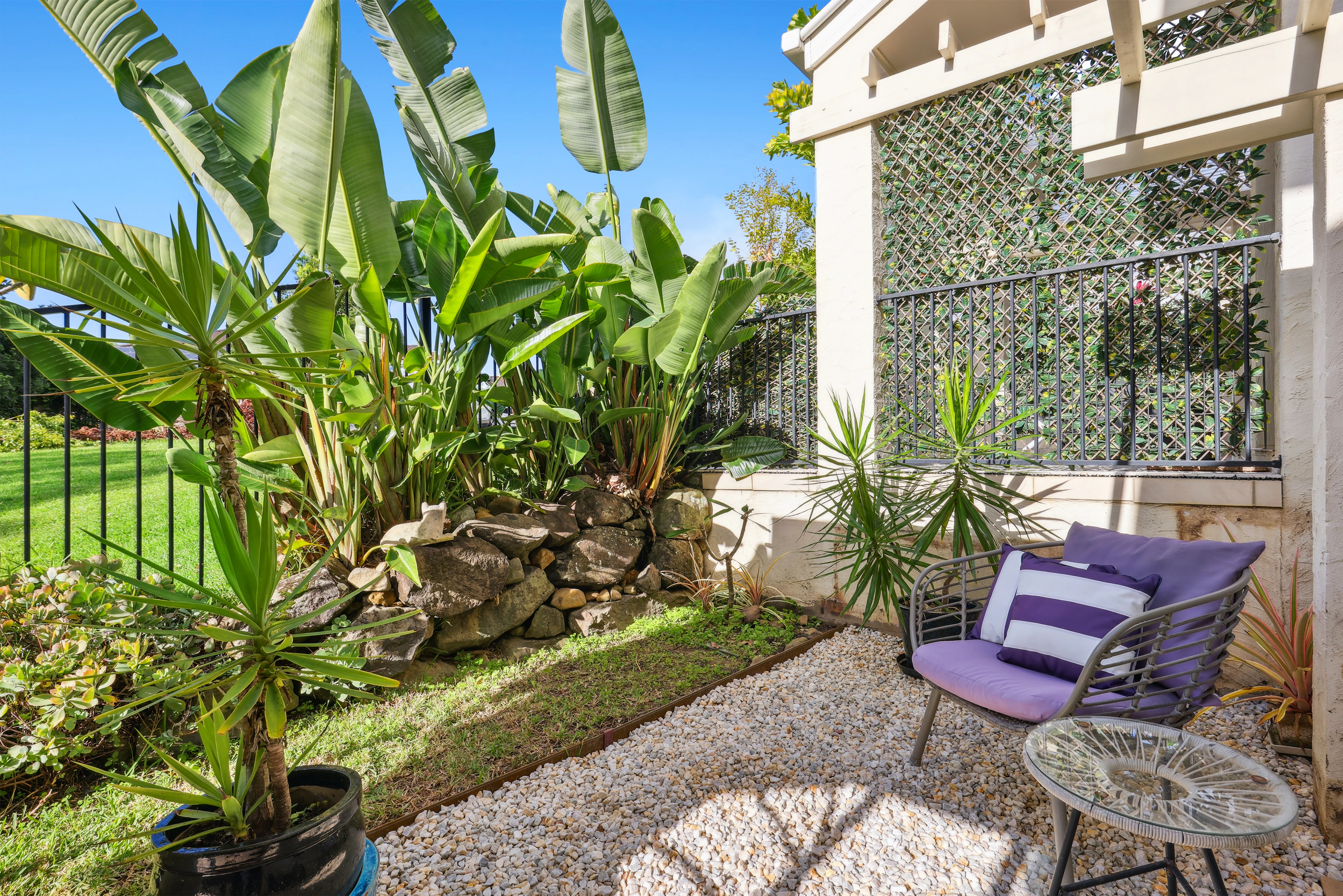 backyard