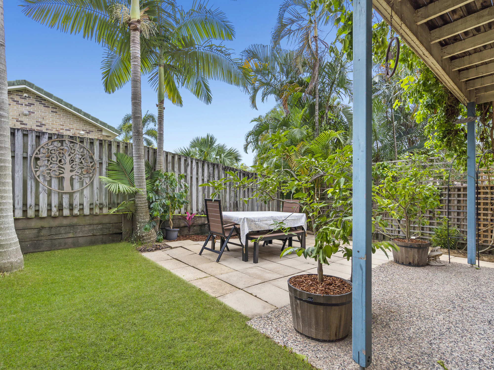 backyard
