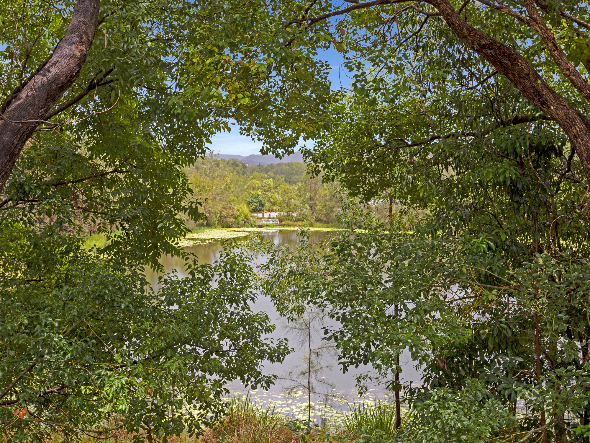 nature