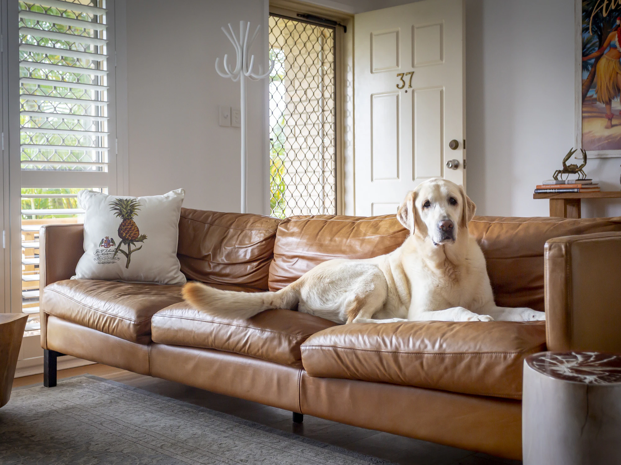 couch