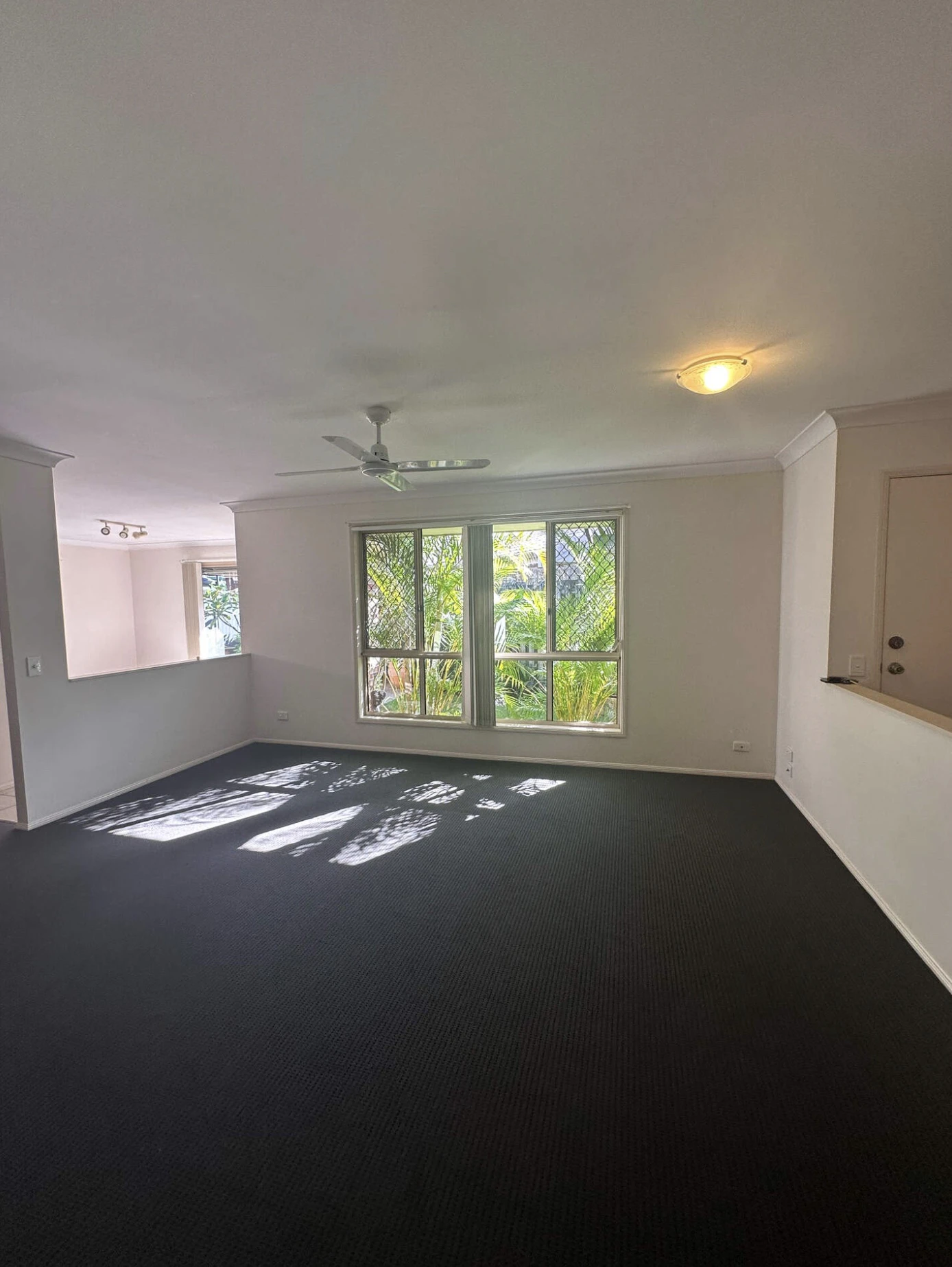 floor