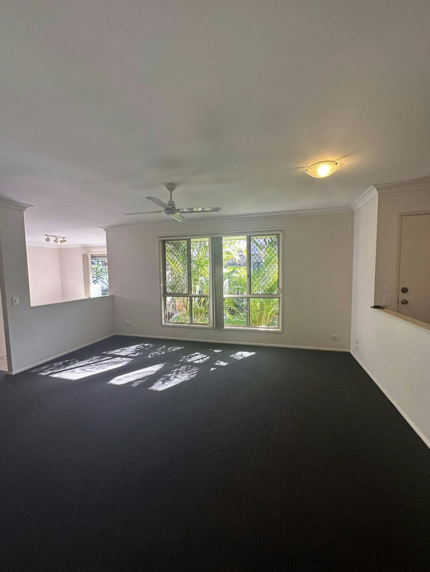 floor