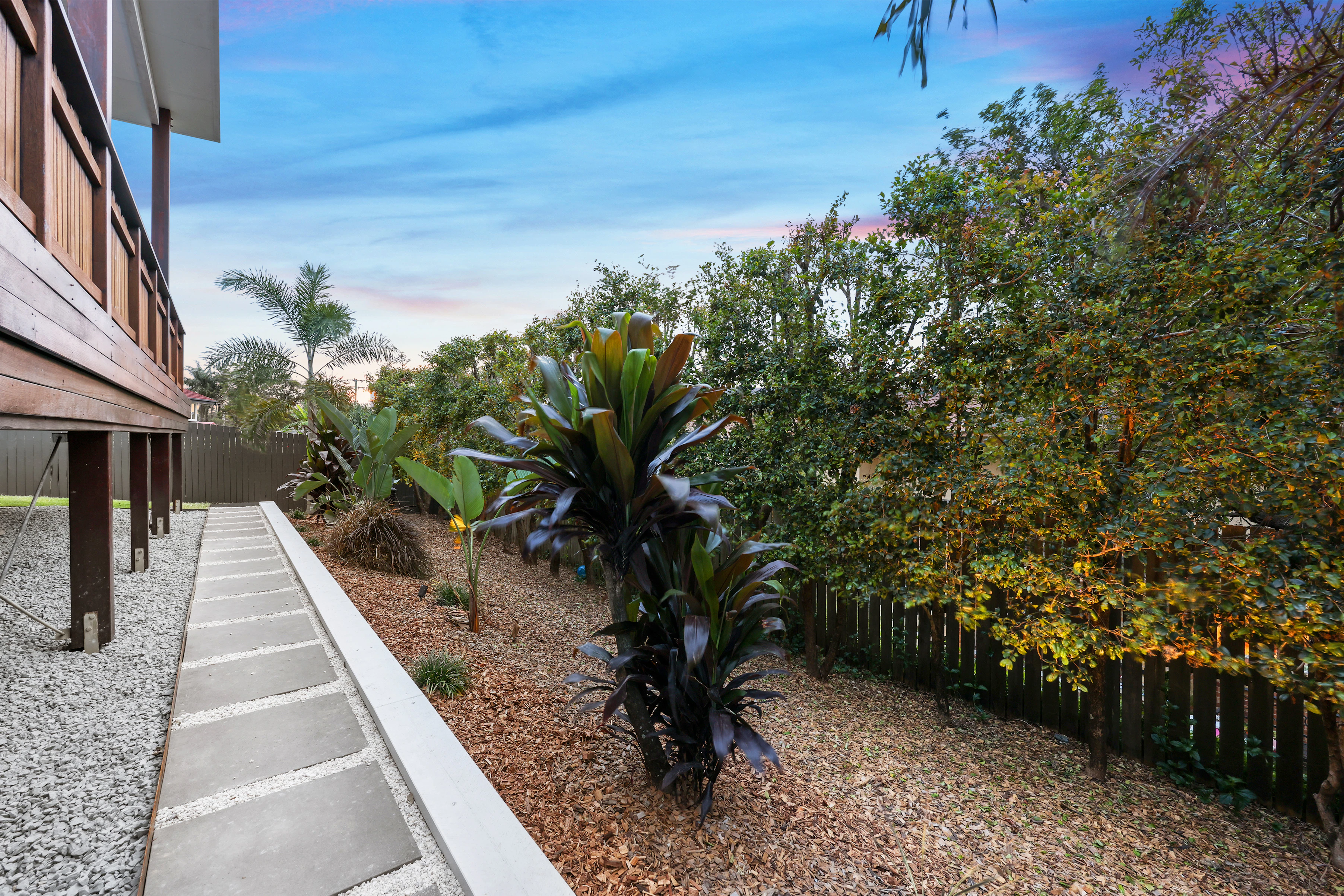 vegetation