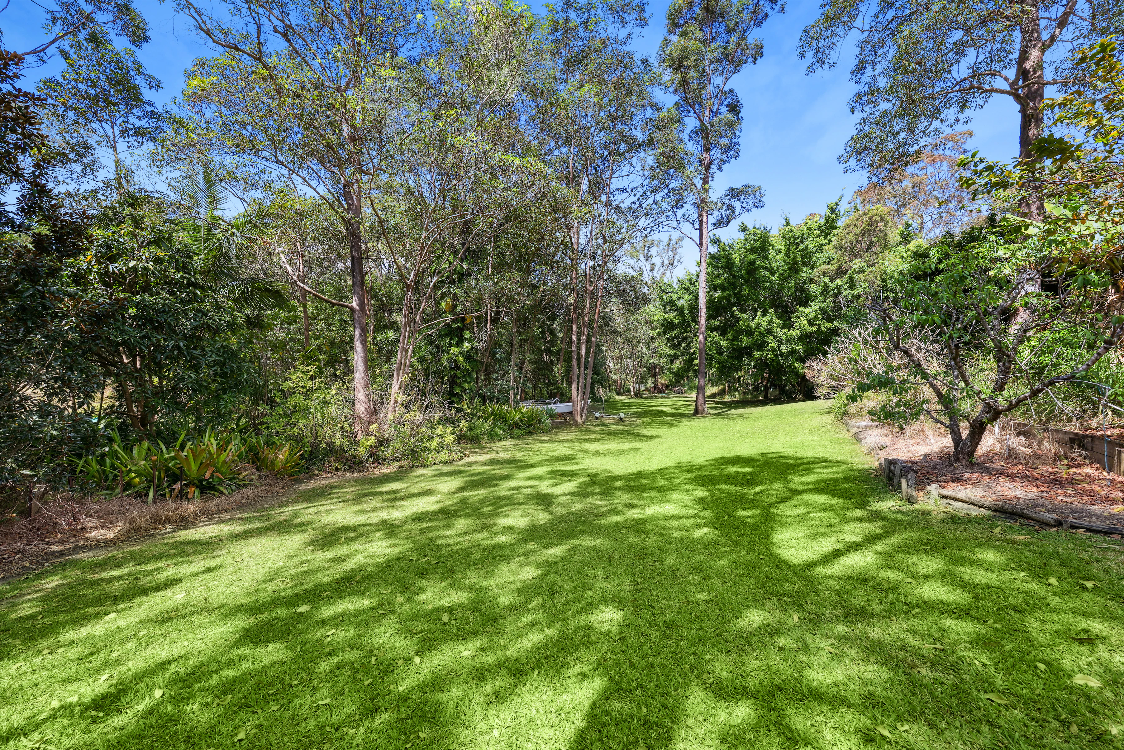 grass