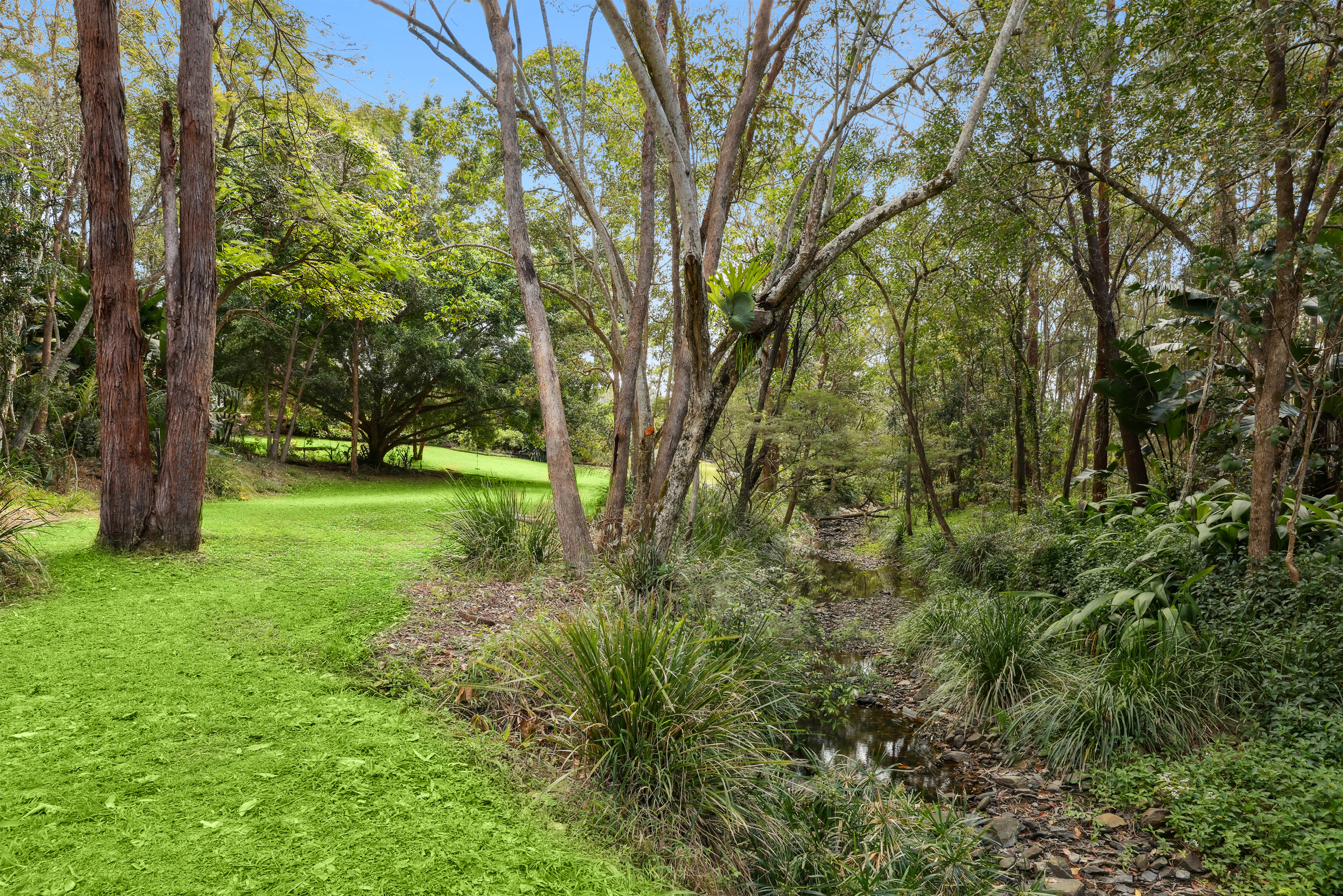 vegetation