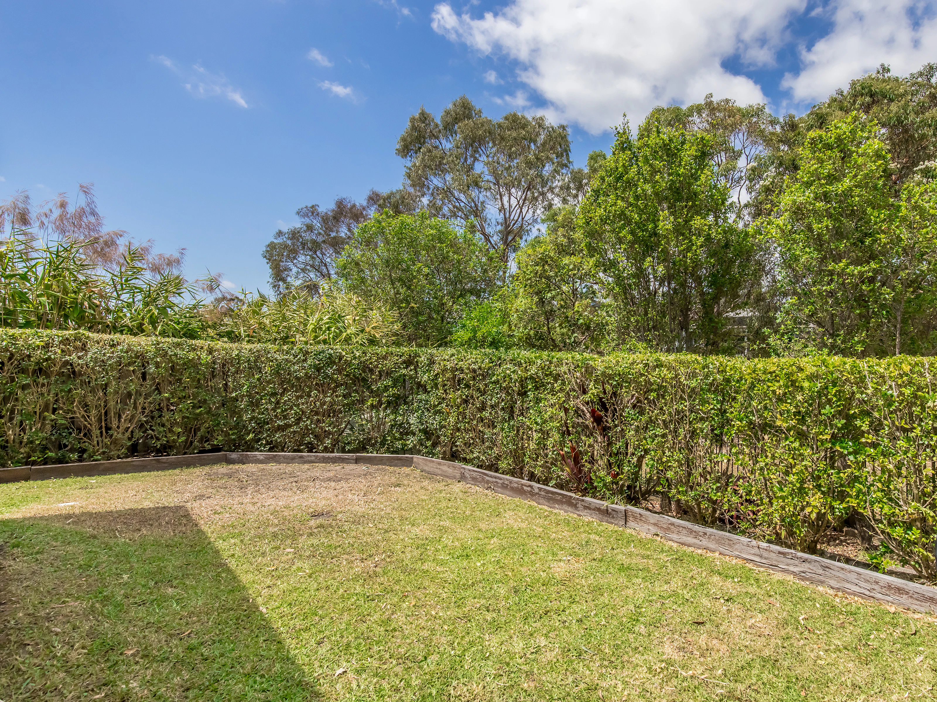 fence