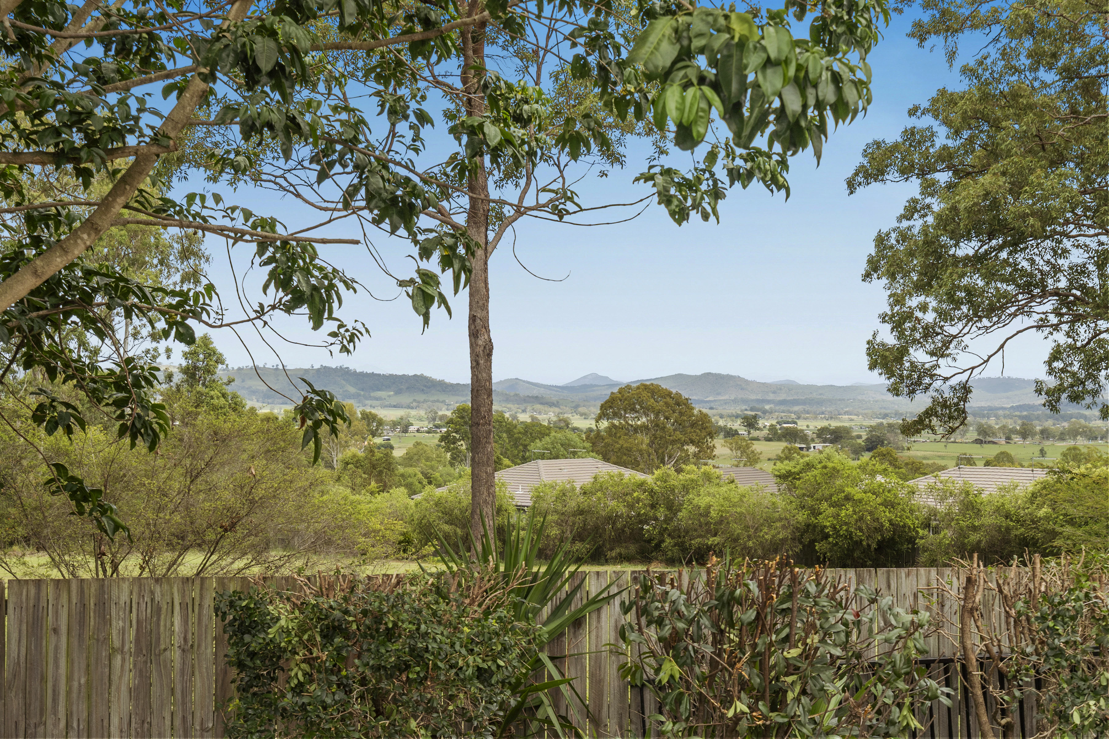 vegetation