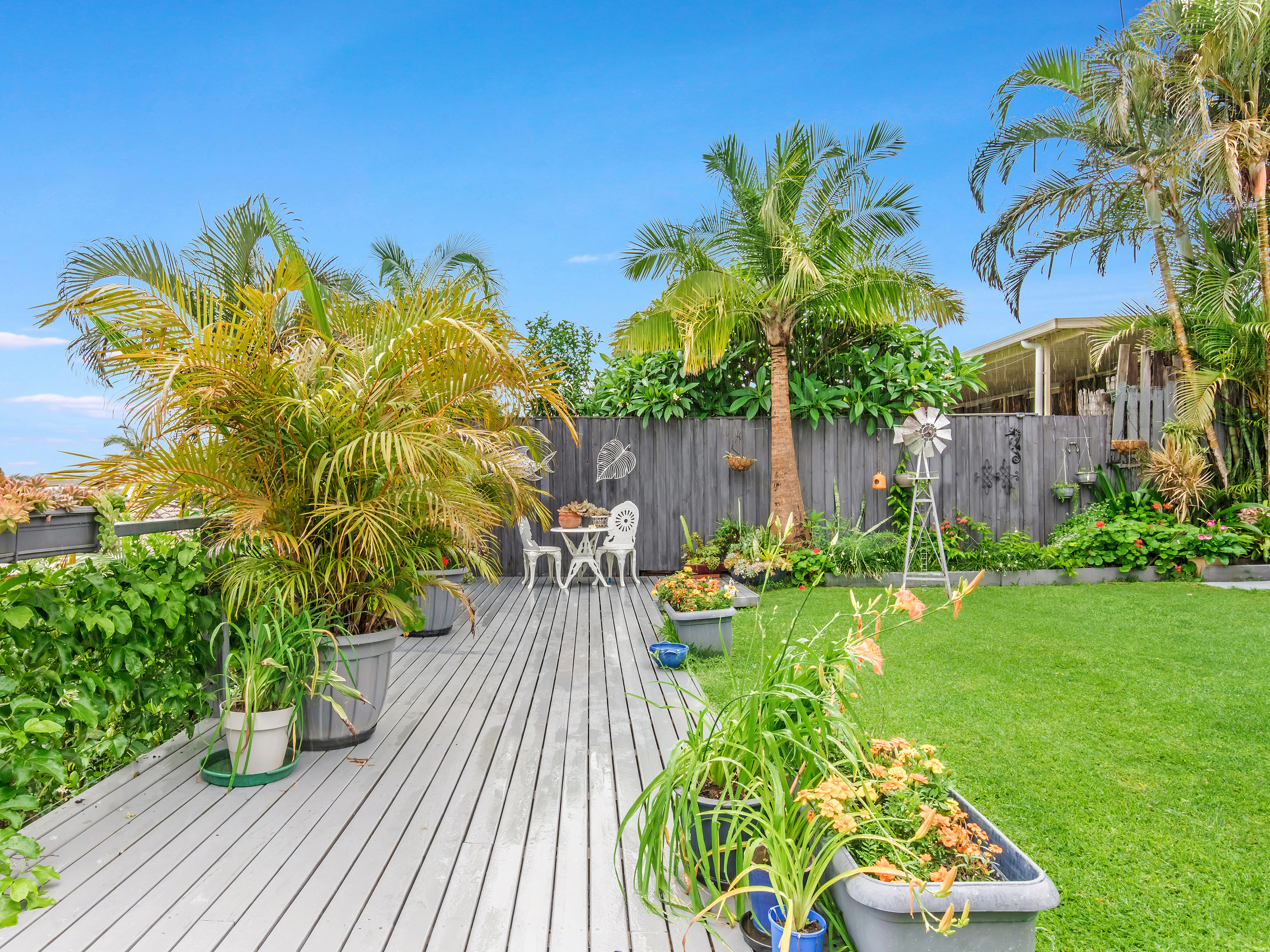 backyard