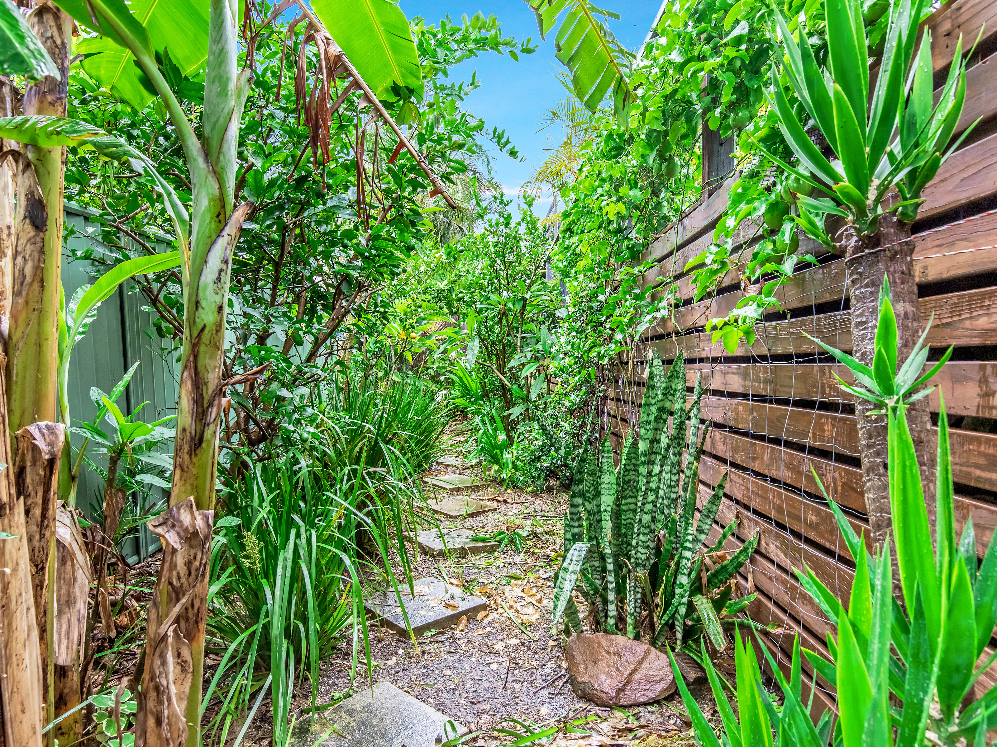 garden