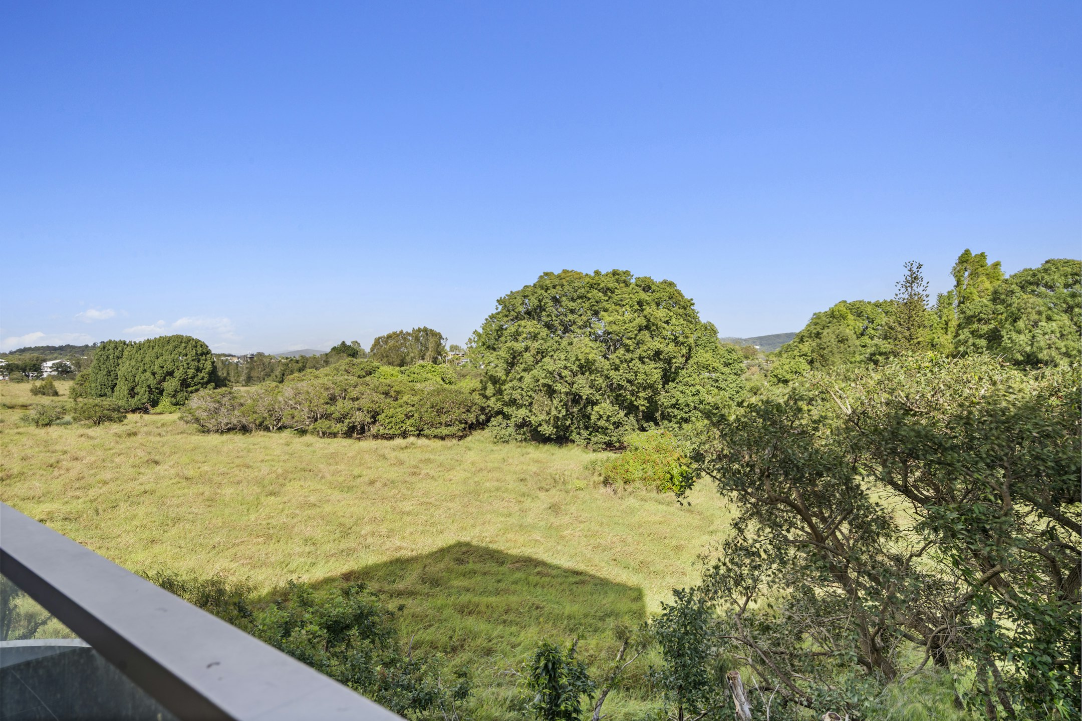 vegetation