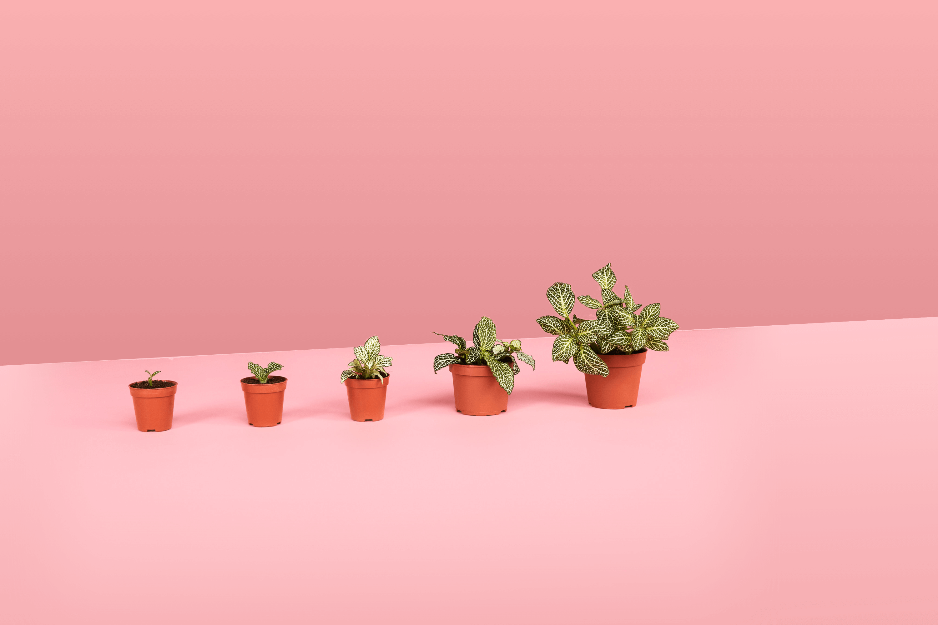 Kostenlose Finanzplan Vorlage In Excel Peaks