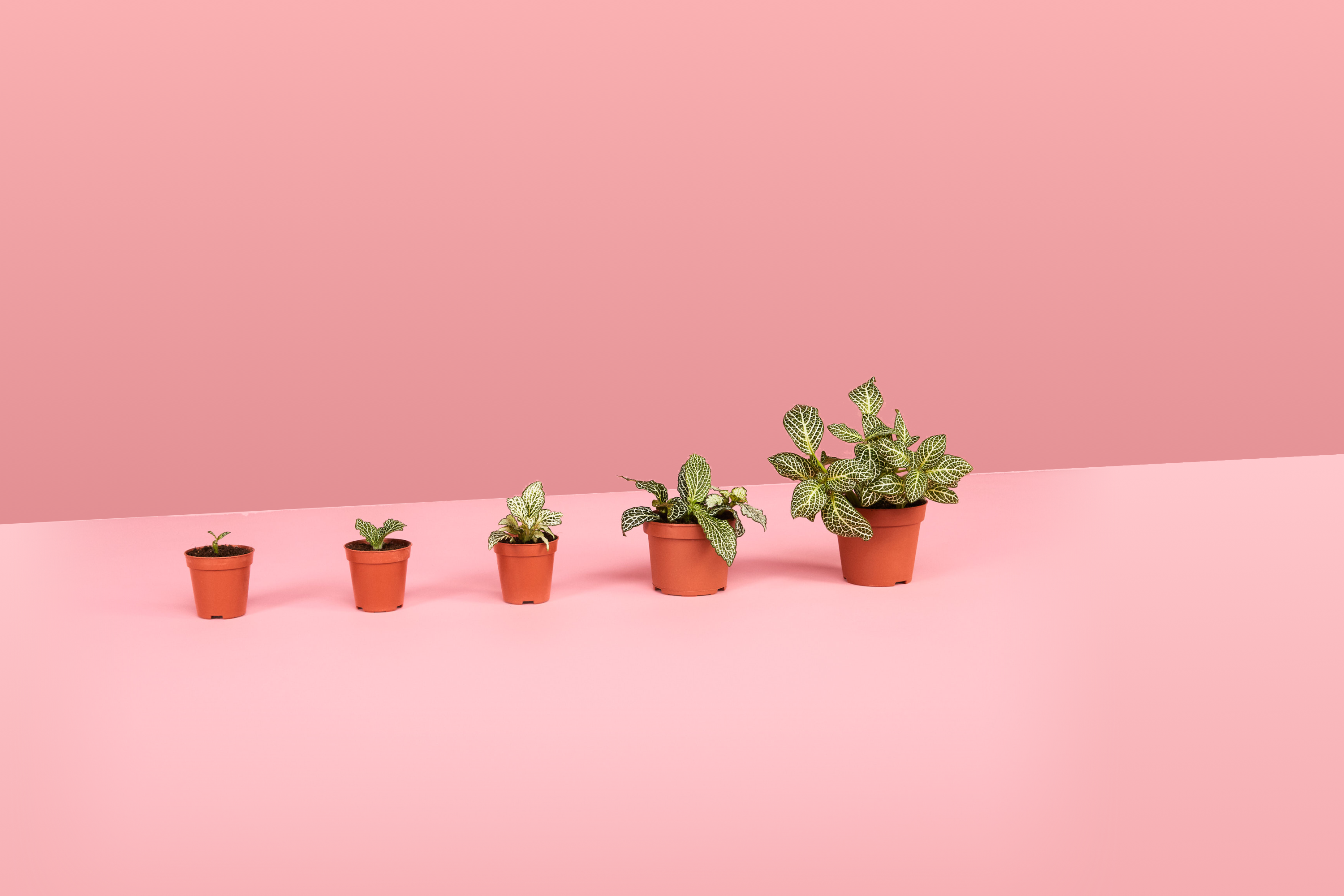 Bouw een passief inkomen op - de beste tips | Peaks