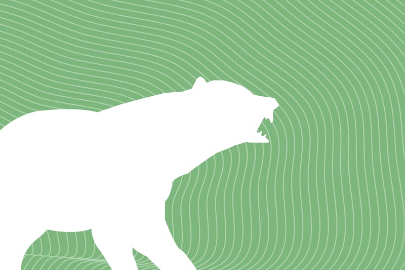 Wie lange hält ein Bärenmarkt durchschnittlich an?