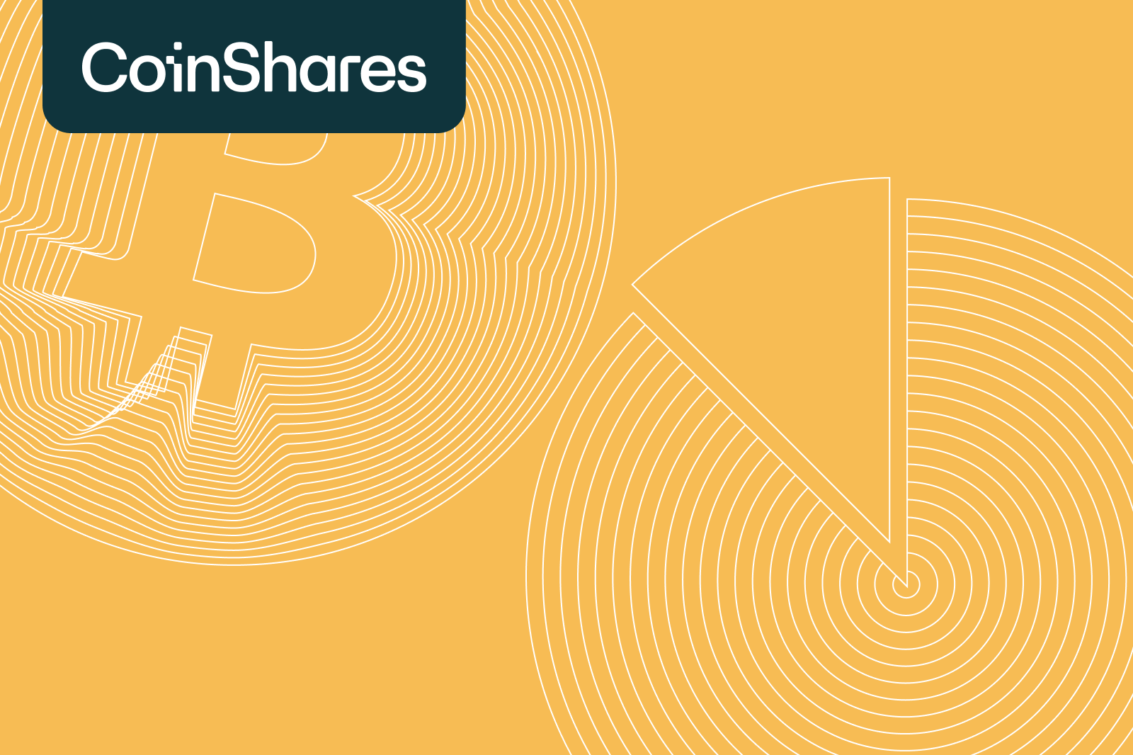 Je portfolio spreiden met crypto | Peaks