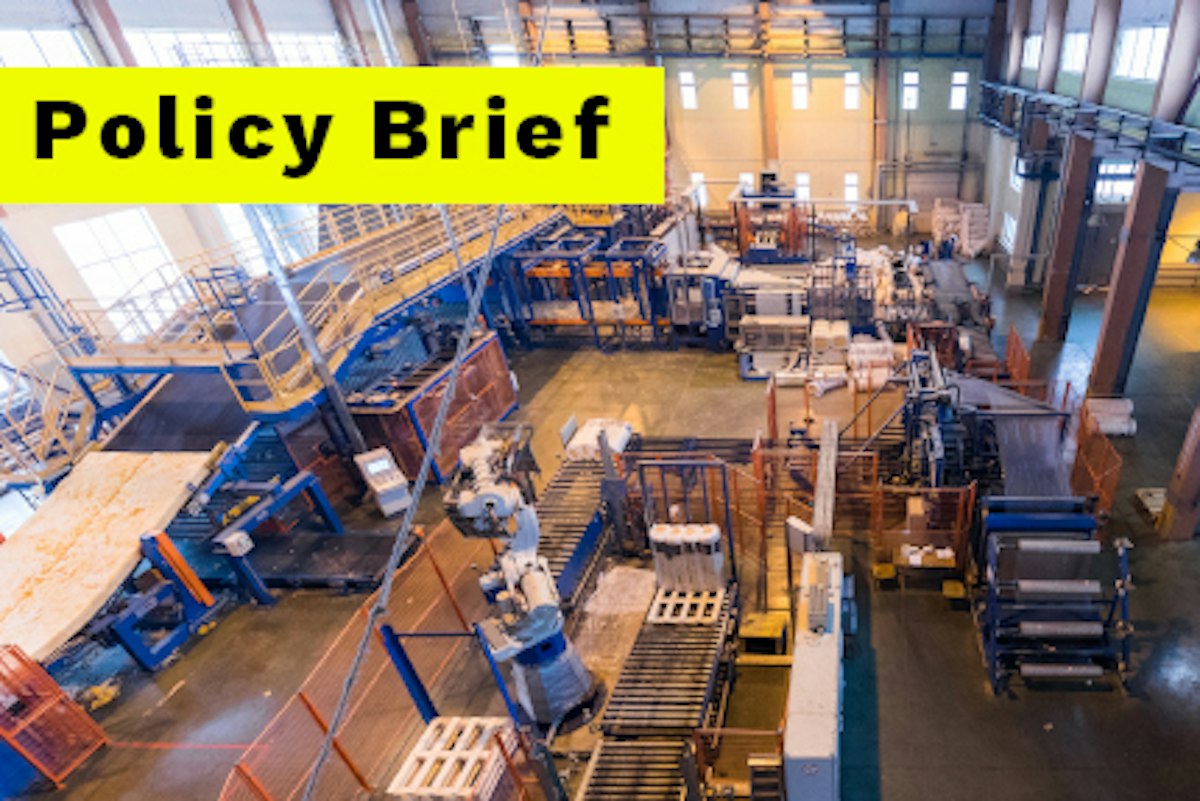 An Analysis of Single-Factory Special Economic Zones