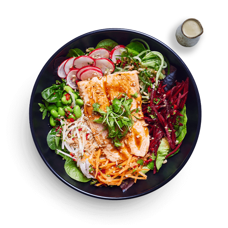 zalm koyo bowl