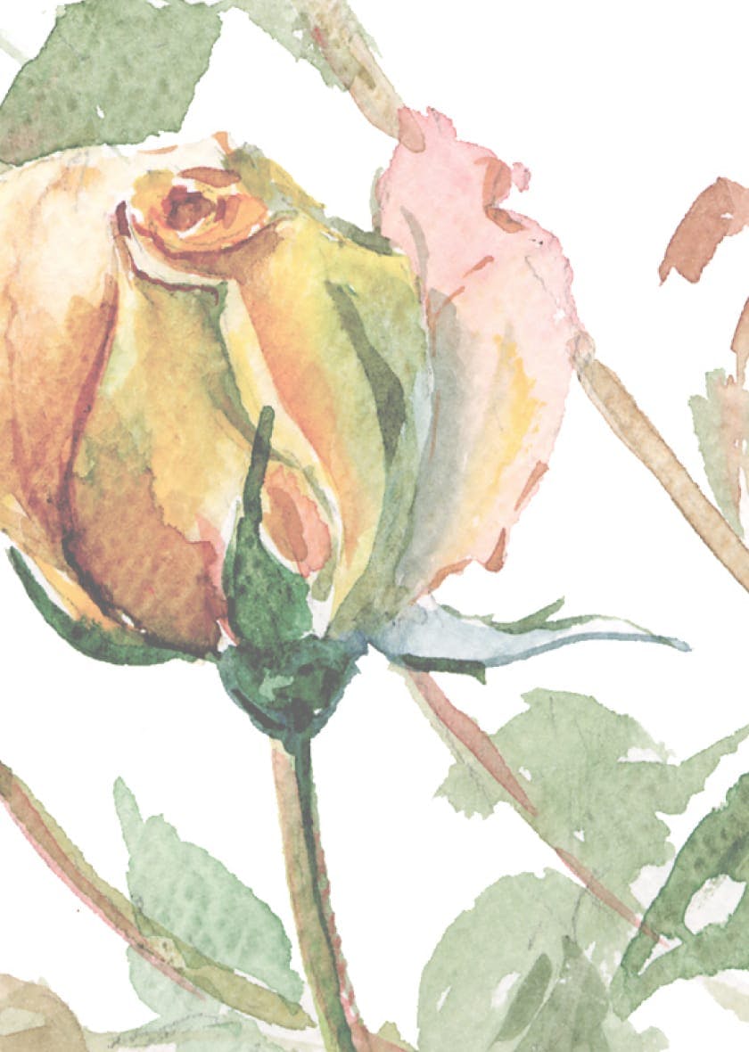 watercolor flower