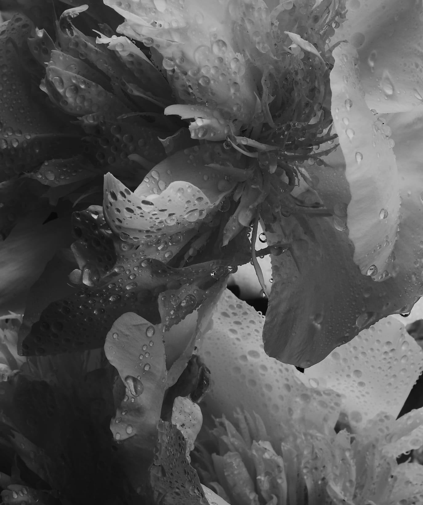 Reviews media accent