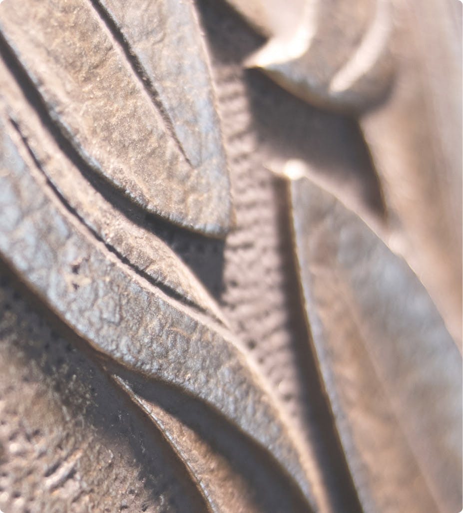 leaves