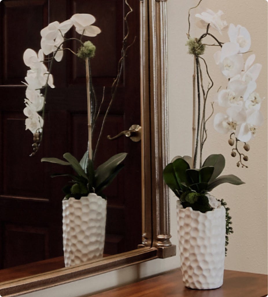 white orchids