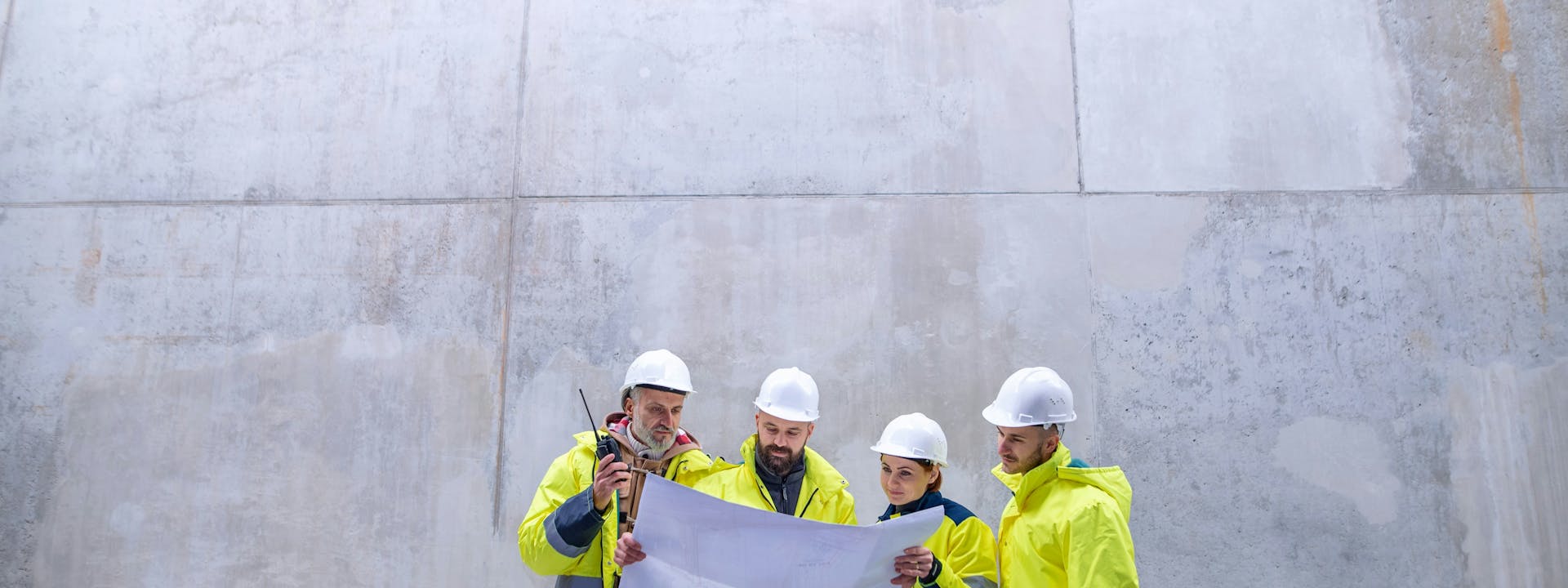 Comprehensive Project Supervision