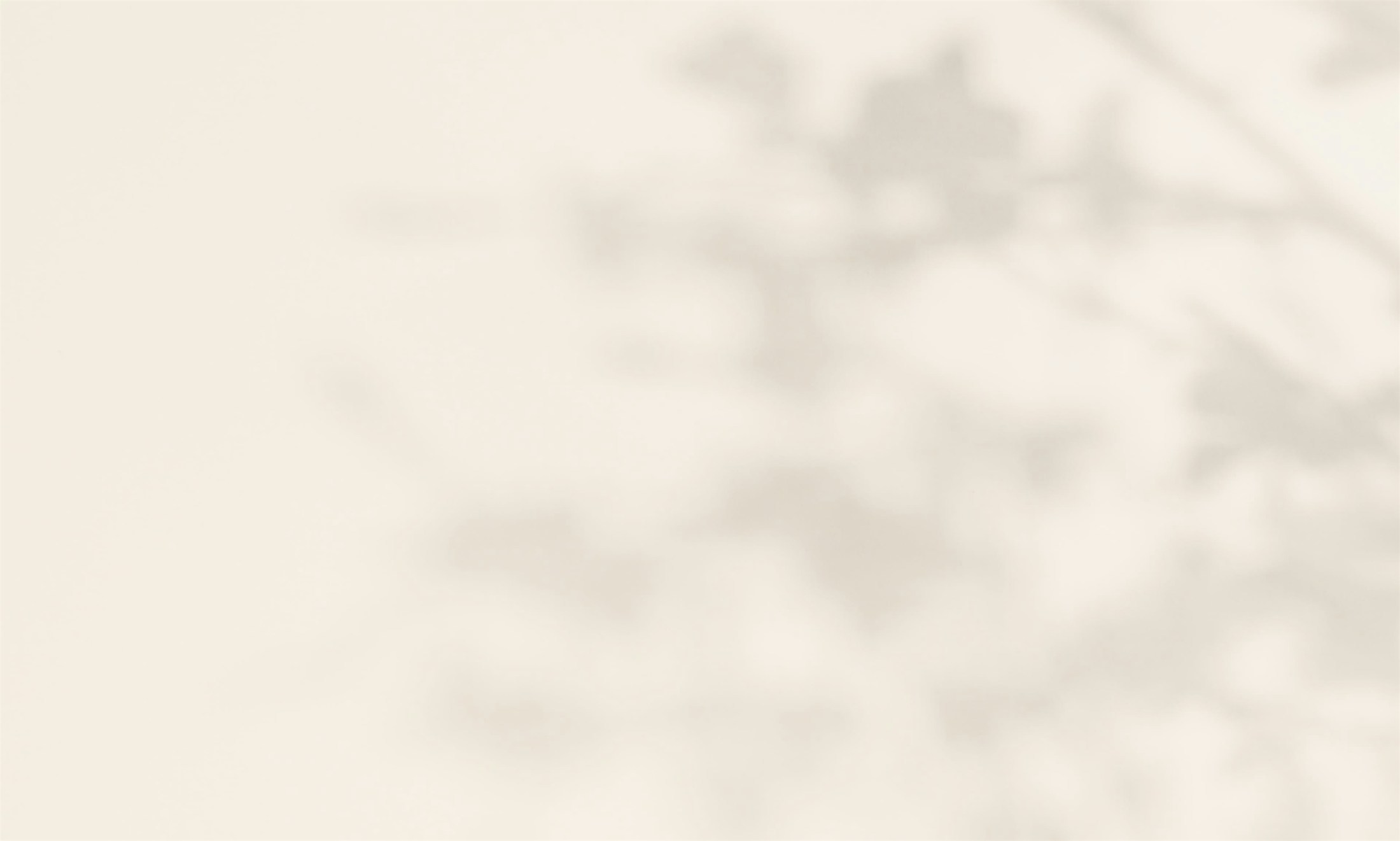 Banner media
