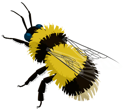 Bumblebee