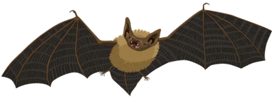 Pipistrelle Bat