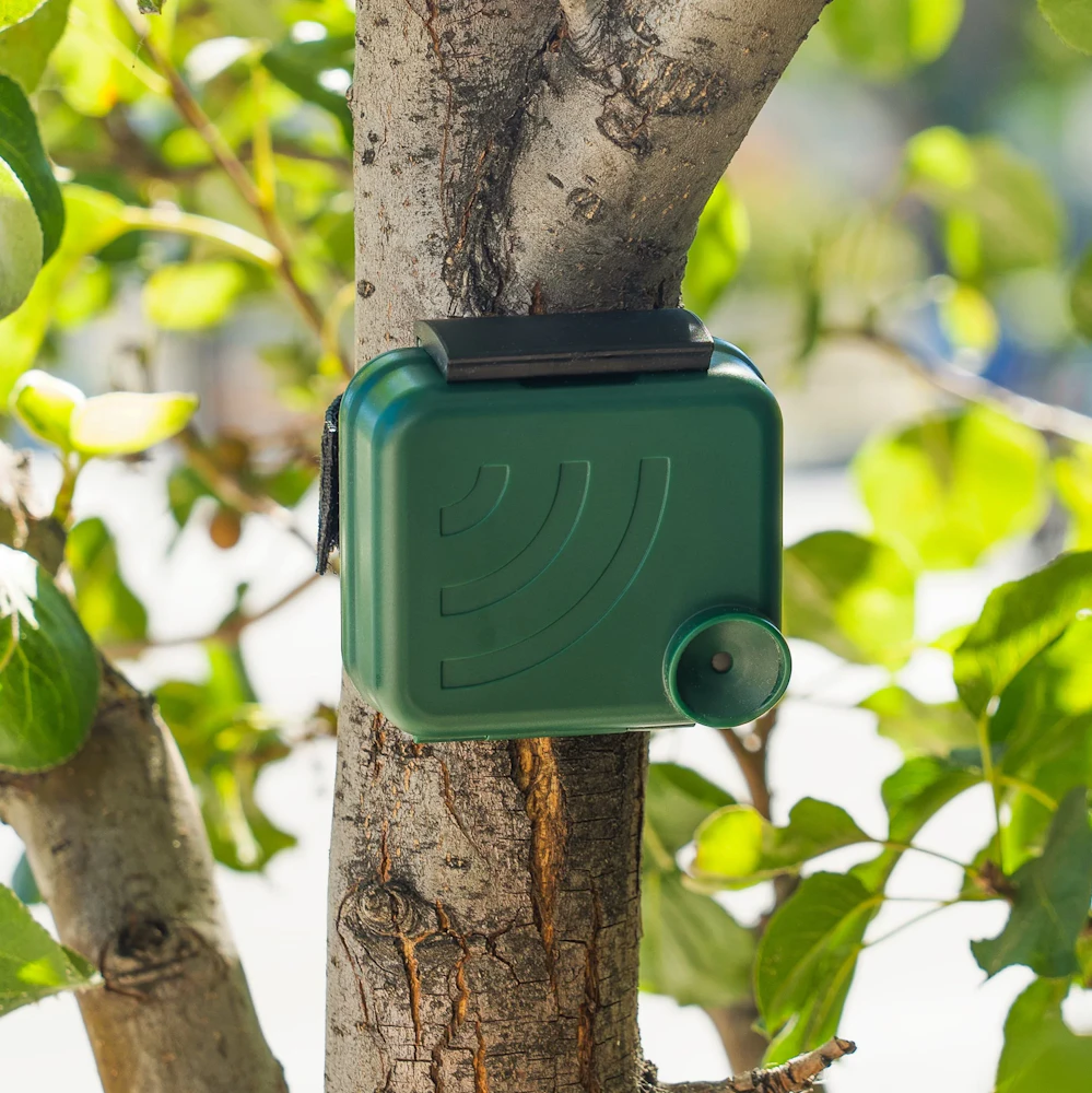 AudioMoth acoustic sensor