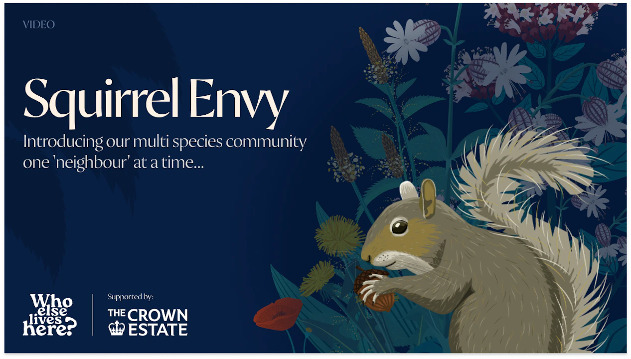 squirrel envy video thumbnail