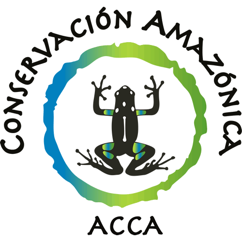 Logo ACCA Conservacion Amazonica