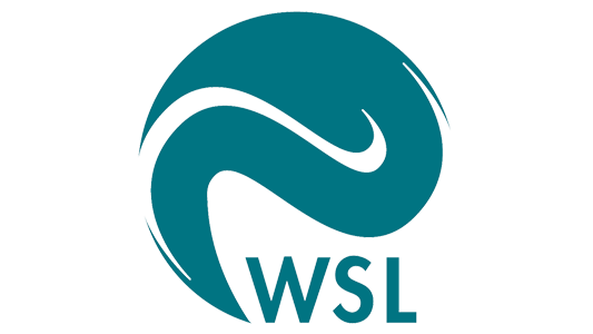 Logo Wald, Schnee und Landschaft WSL