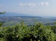 View of the Grosses Moos region from Mont Vully, in the Canton of Bern, Switzerland.
