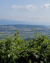 View of the Grosses Moos region from Mont Vully, in the Canton of Bern, Switzerland.