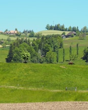 The structured landscape of Ranflüh: Varied natural and near-natural habitats favor biodiversity.